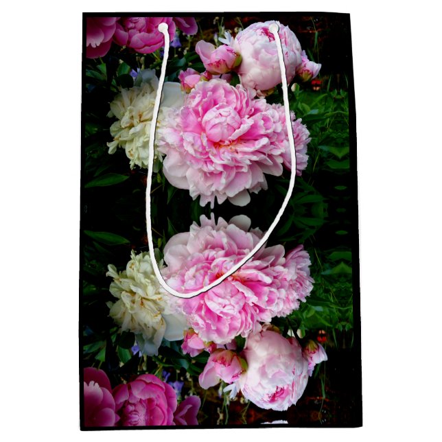 Bild av blommigten för vit peony-elegant rosa (Framsidan)