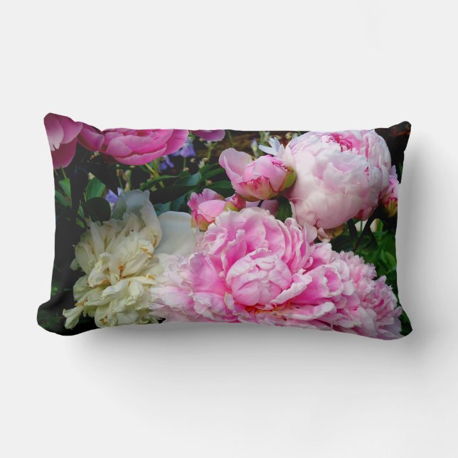 Bild av blommigten för vit peony-elegant rosa lumbarkudde (Framsida)