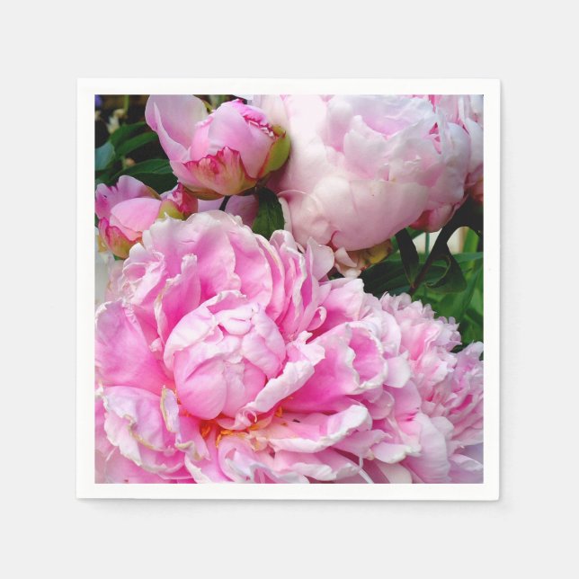 Bild av blommigten för vit peony-elegant rosa pappersservett (Framsidan)