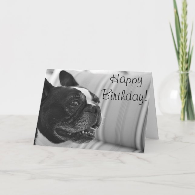 Bild av Boston Terrier Kort (Framsida)