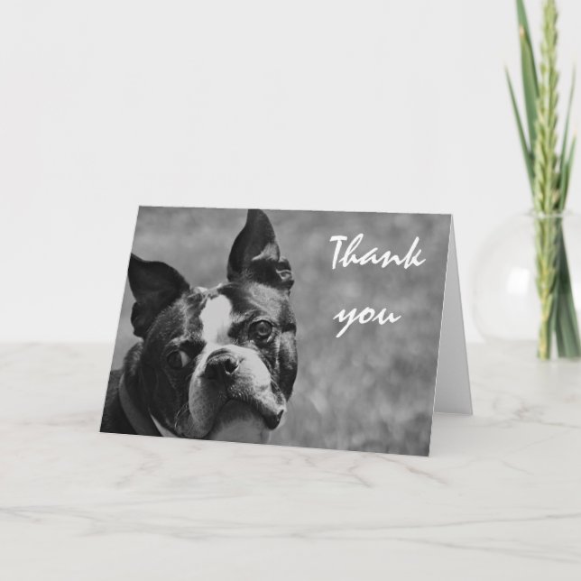 Bild av Boston Terrier Tack Kort (Framsida)