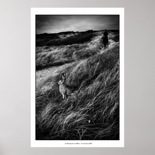 Bild av bran Le Rendez-vous d'Alice Wonderland Poster (Framsidan)