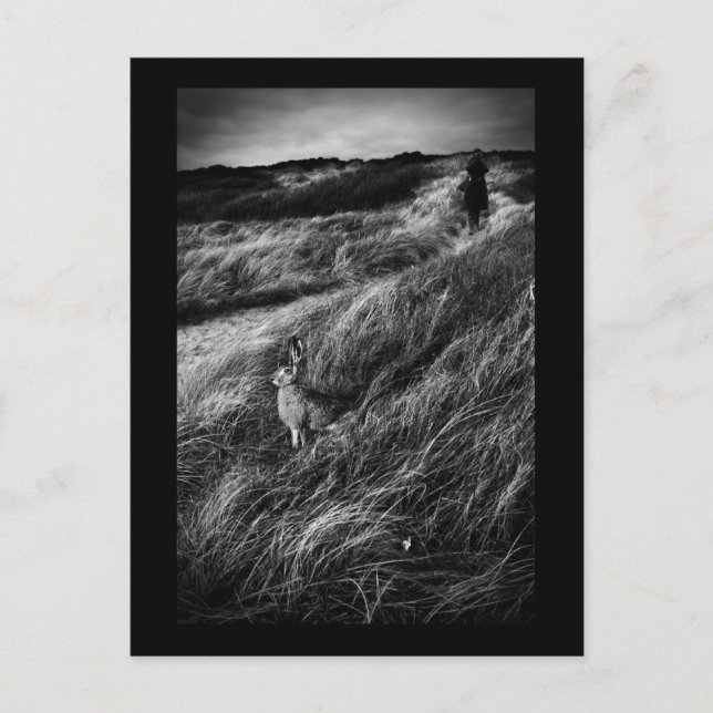 Bild av bran Le Rendez-vous d'Alice Wonderland Vykort (Framsida)