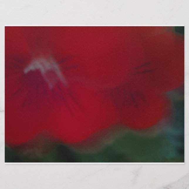 Bild av Bright Red Modern Flowers (Framsida)