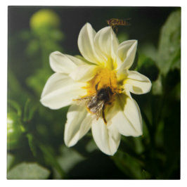 Bild av bumblebee och vit dahlia kakelplatta
