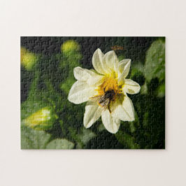 Bild av bumblebee och vit dahlia pussel