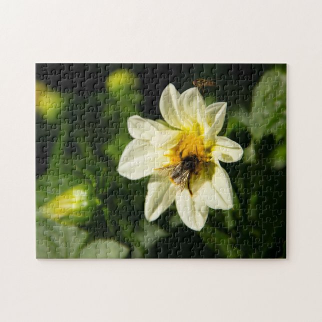 Bild av bumblebee och vit dahlia pussel (Horisontell)