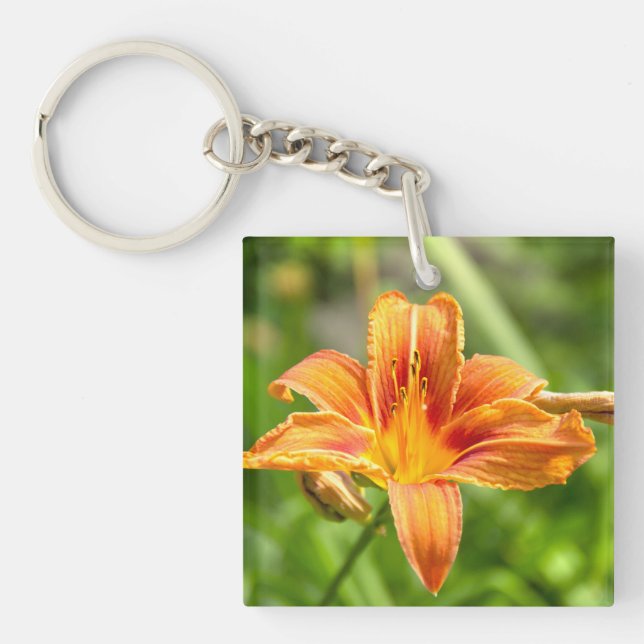 Bild av Cute big Lily-blomma (Framsidan)