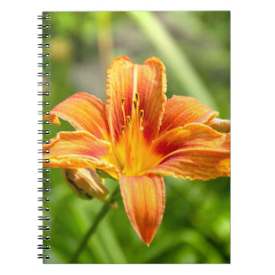 Bild av Cute big Lily-blomma Anteckningsbok