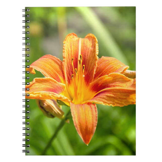 Bild av Cute big Lily-blomma Anteckningsbok (Framsidan)
