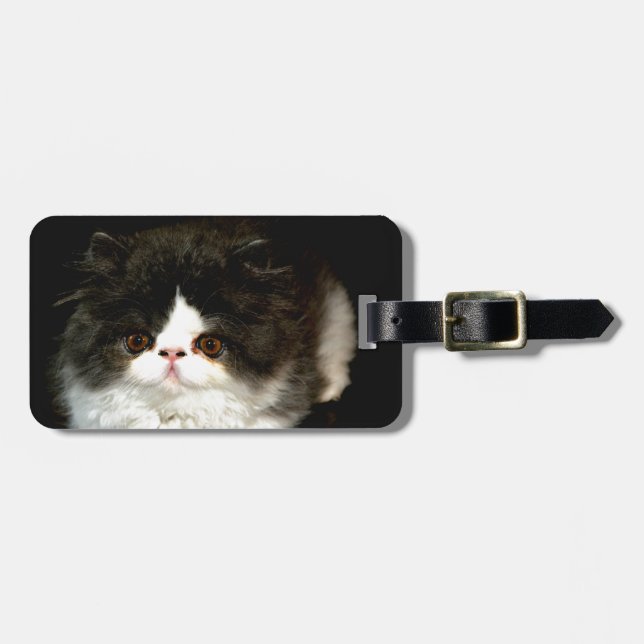 Bild av Cute Black white kattenskatagg Bagagebricka (Horisontell Framsida)