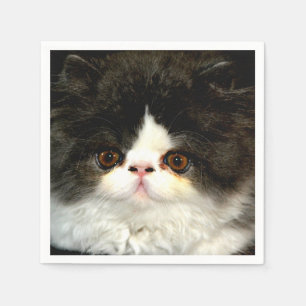 Bild av Cute Black white kattenskatagg Pappersservett
