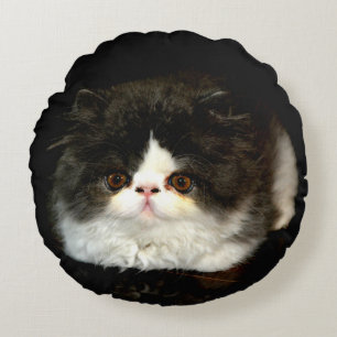 Bild av Cute Black white kattenskatagg Rund Kudde