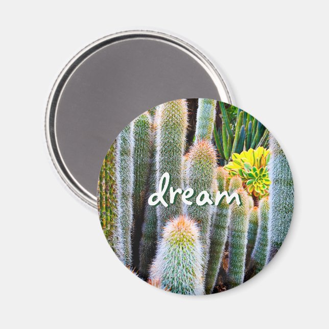 Bild av "Dream"-orange-tippad fuzzy grönt-cactus Magnet (Front/Back)