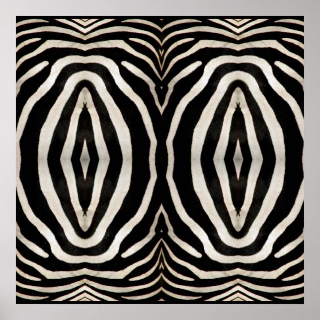 Bild av en riktig Zebra-Päls Poster (Framsidan)