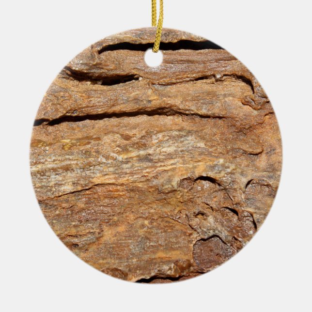 Bild av Fossilized trä Julgransprydnad Keramik (Framsidan)
