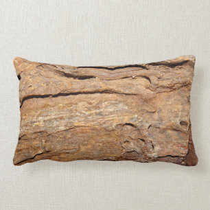 Bild av Fossilized trä Lumbarkudde