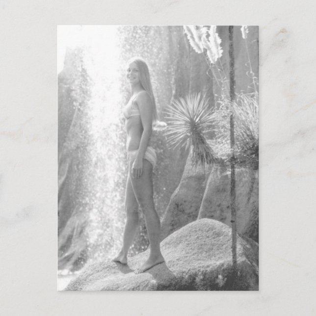 Bild av Jungle Land i Panama City Bikini Vykort (Framsida)