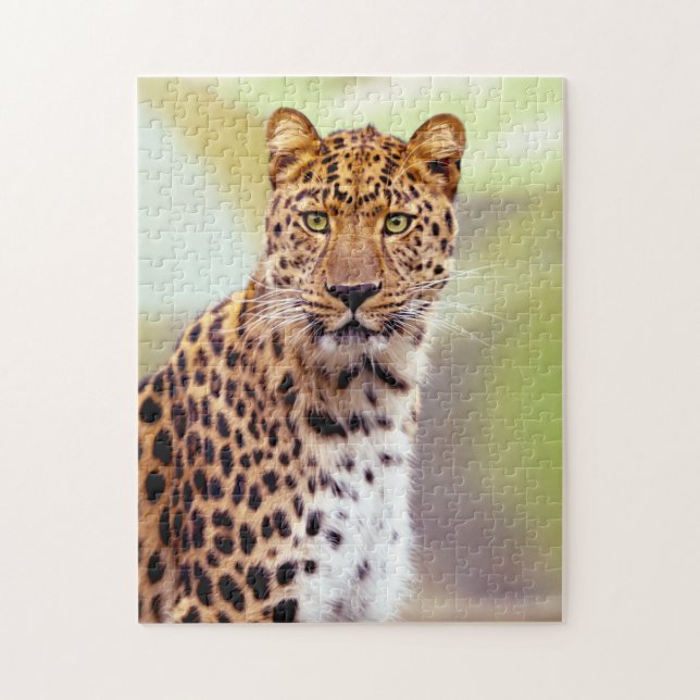 Bild av leopard-foto pussel (Vertikal)