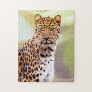 Bild av leopard pussel