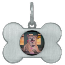 Bild av Modern Personlig Hund Namn