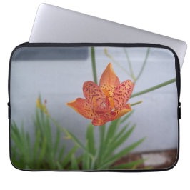 Bild av orange Blackberry Lily med röda prickar på Laptop Fodral