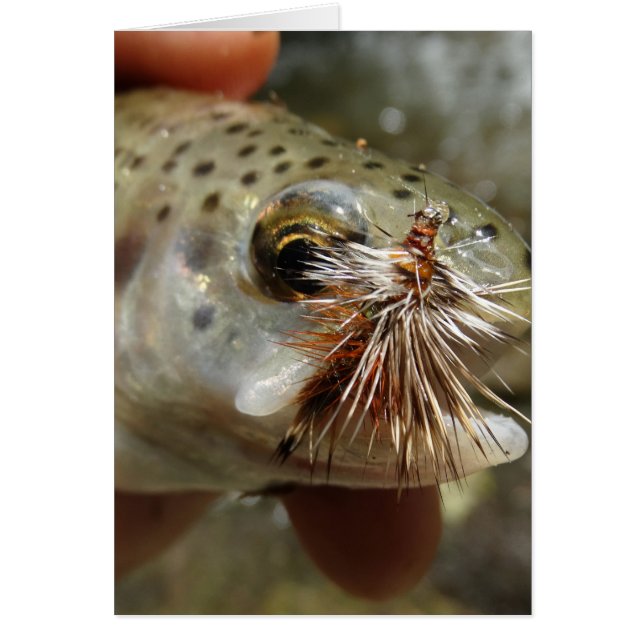 Bild av regnbåge hälsningskort (Framsidan)