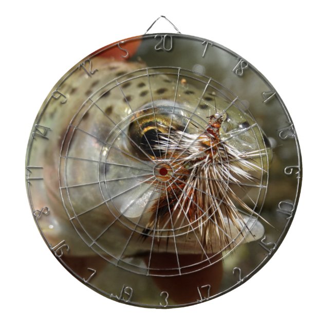 Bild av regnbåge piltavla (Framsidan)