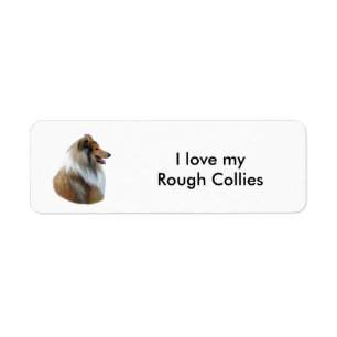 Bild av Rough Collie hund porträtt Returadress Etikett