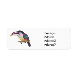 Bild av tecknad av rödspättad aracari returadress etikett