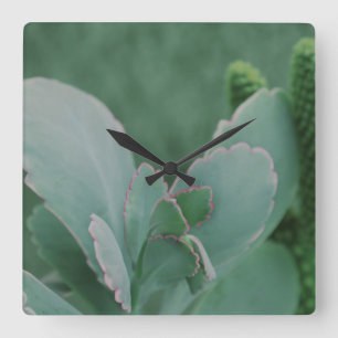 Bild av vackert Desert Plant Art Photograph Fyrkantig Klocka