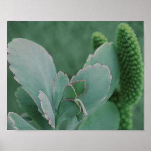 Bild av vackert planteringsdiagram poster