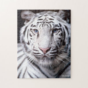 Bild av vit bengaltiger pussel