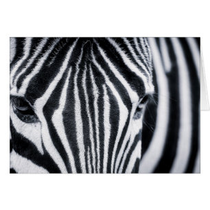 Bild av Zebra closeup Hälsningskort