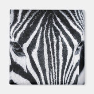 Bild av Zebra closeup Magnet