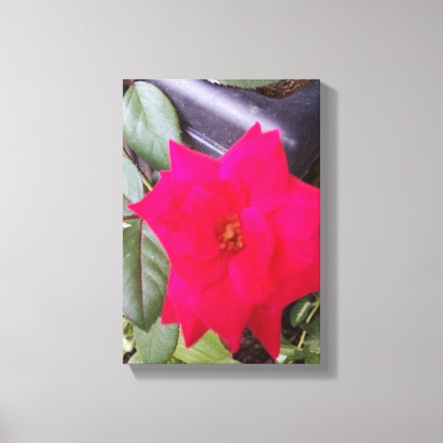 Bild Canvass Art (Framsida)