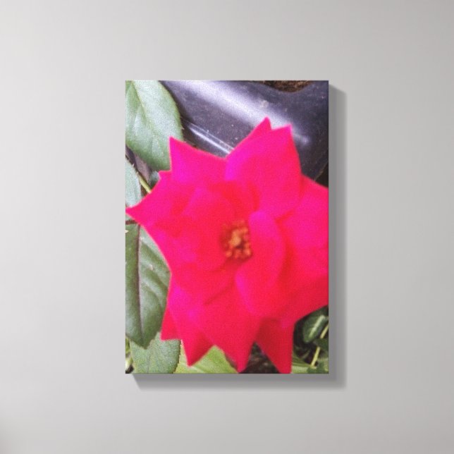 Bild Canvass Art (Framsida)