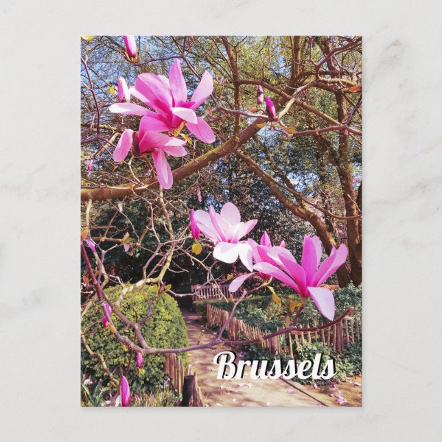 Bild för Bryssels resa Vykort (Framsida)