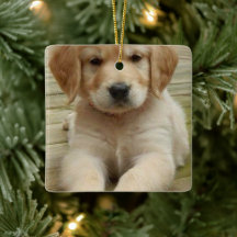 Bild för dubbla av anpassningsbar, bild jul