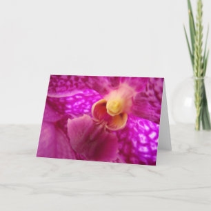 Bild för elegant-orchid kort