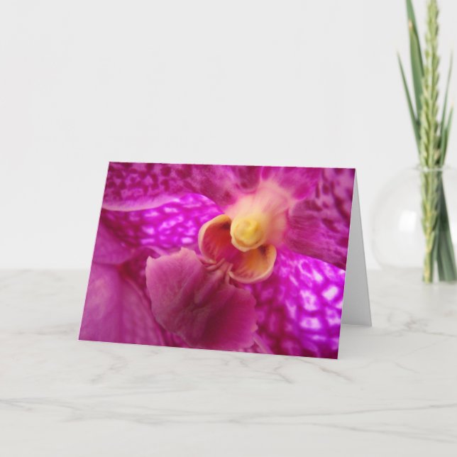 Bild för elegant-orchid kort (Framsida)