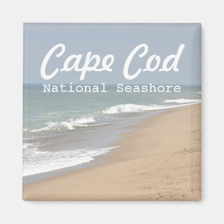 Bild för segment magnet