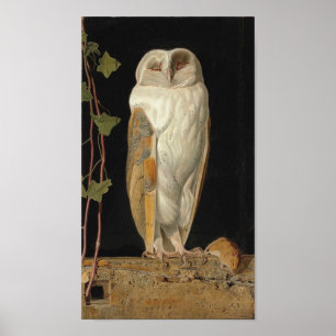 Bild för vintage Uggla Poster