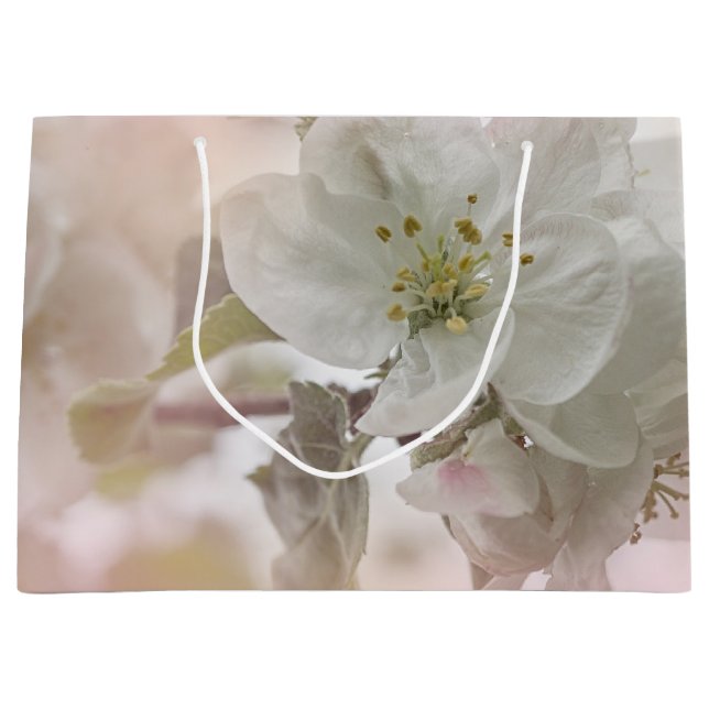 Bild för vit äppelBlommar (Framsidan)