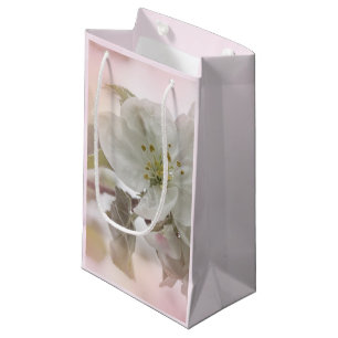 Bild för vit äppelBlommar