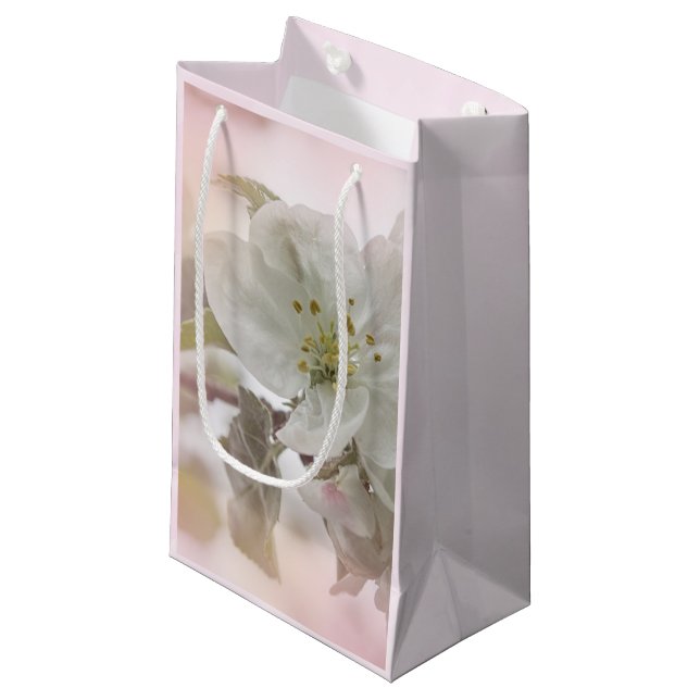 Bild för vit äppelBlommar (Framsidan Vinklad)
