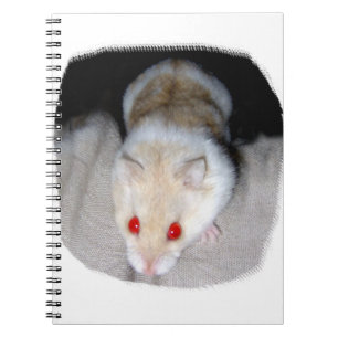 Bild för vit- och blondinalbinohamster anteckningsbok med spiral