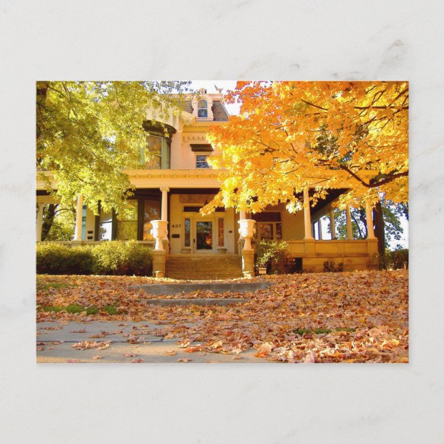 Bild från Autumn Träd av Mark Edward Westerfield Vykort (Framsida)