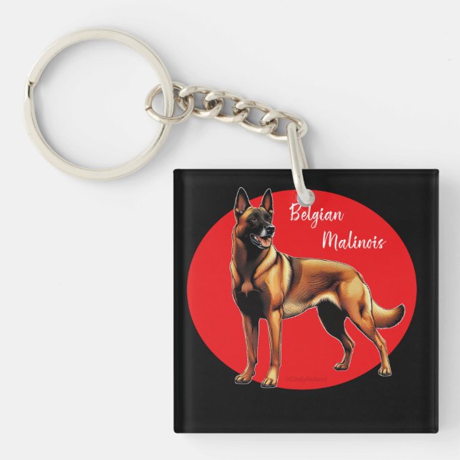 Bild från belgiska Malinois (Framsidan)
