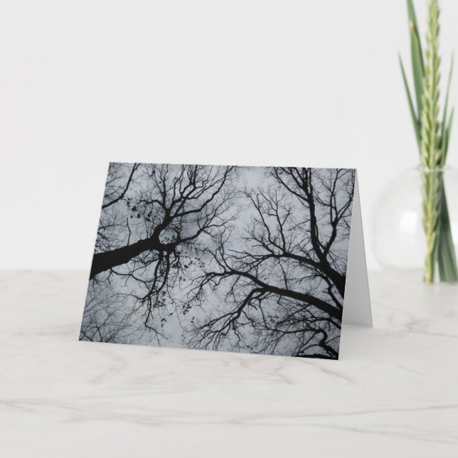 Bild från november Himmel genom Träd Kort (Framsida)